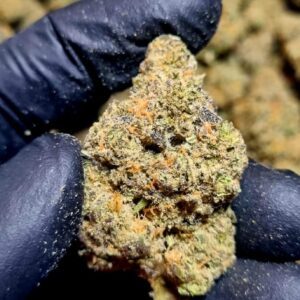 cherry pie strain