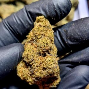 lemon poppers