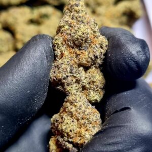 georgia pie strain